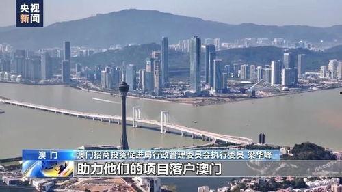 国产精区,引领科技潮流，打造民族品牌新高度